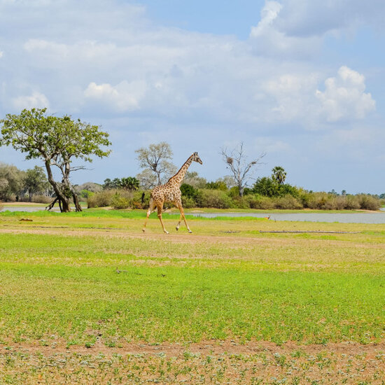 Tansania ©Kidogo Travel Design