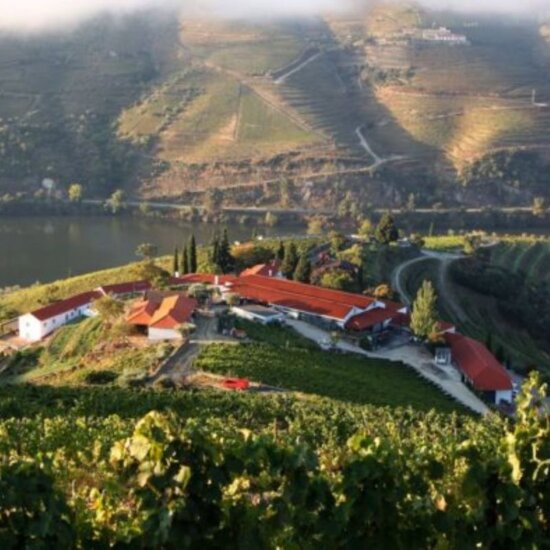 Portugal Schlösser und Weinber