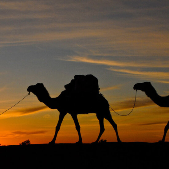 Markokko Wüstenwanderung ©Clearskies
